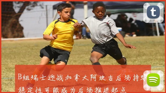 B组瑞士迎战加拿大阿坎吉后场持球稳定性可能成为后场推进起点