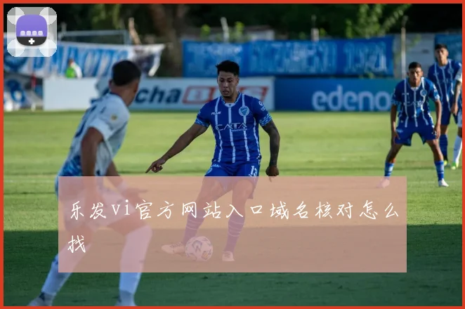 乐发vi官方网站入口域名核对怎么找