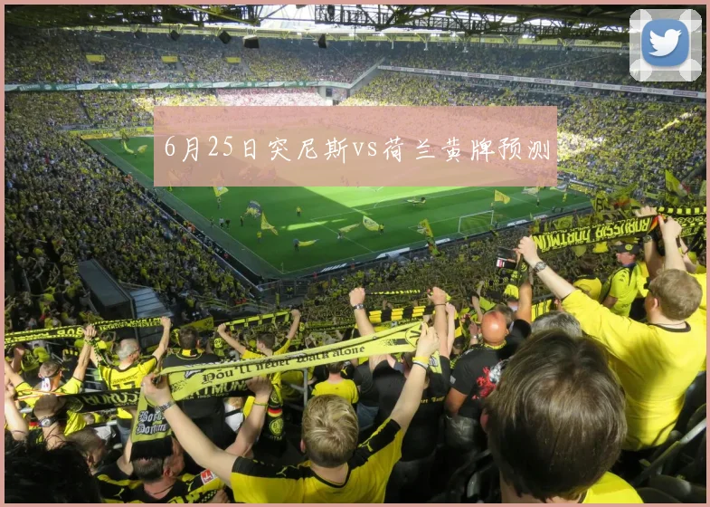 6月25日突尼斯vs荷兰黄牌预测